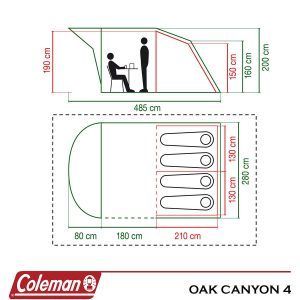 Cort Coleman Oak Canyon 4